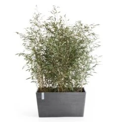 Pflanzkasten 'Paris', Grau, L 60 X B 26 X H 40 Cm -Gartenbedarf Verkäufe 2024 3230101236 pflanzkasten paris 2 117480