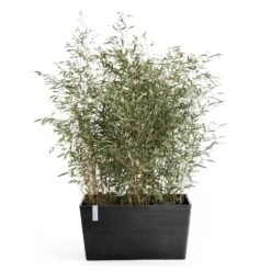 Pflanzkasten 'Paris', Dunkelgrau -Gartenbedarf Verkäufe 2024 3230101240 pflanzkasten paris 2 117488