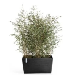 Pflanzkasten 'Paris', Dunkelgrau -Gartenbedarf Verkäufe 2024 3230101241 pflanzkasten paris 2 117490