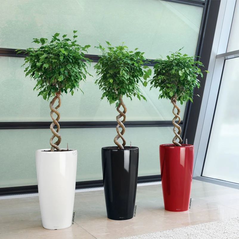 LECHUZA Rondo Premium, All-in-One-Set, Weiß Hochglanz, Ø 33 Cm, H:56 Cm 6 LECHUZA Rondo Premium, All-in-One-Set, Weiß Hochglanz, Ø 33 Cm, H:56 Cm – Bild 4