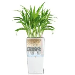 LECHUZA Cubico Premium 30, Weiß Hochglanz, All-in-One-Set , 30x30, H:56 Cm -Gartenbedarf Verkäufe 2024 3325100114 CubicoPremium22 weiss All in One Set 22x22x41cm RGB 7573 1