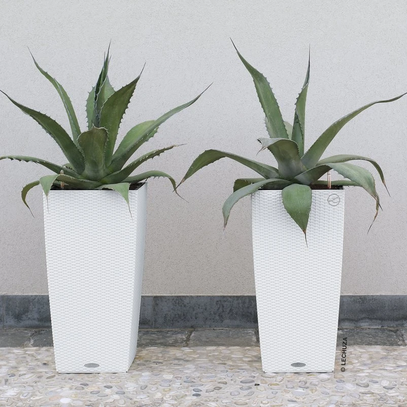 Lechuza Cubico Cottage 40, Weiß, All-in-One-Set 3 Lechuza Cubico Cottage 40, Weiß, All-in-One-Set