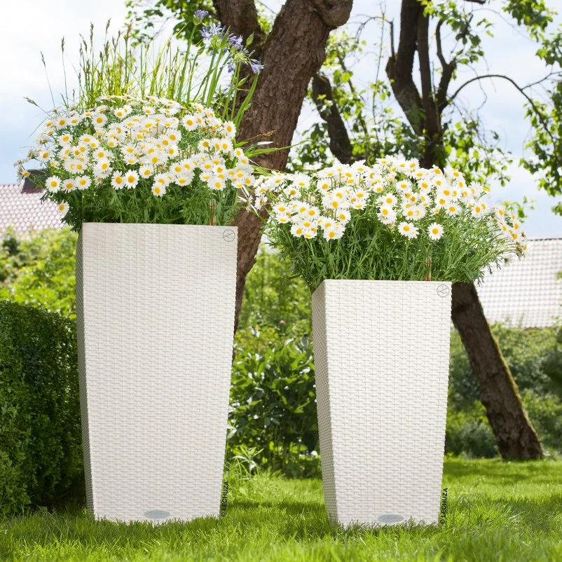 Lechuza Cubico Cottage 40, Weiß, All-in-One-Set 4 Lechuza Cubico Cottage 40, Weiß, All-in-One-Set – Bild 2