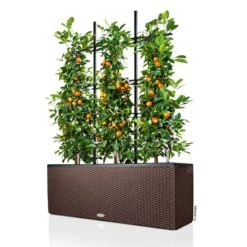 Lechuza Trio Cottage 30, Mokka, All-in-One-Set -Gartenbedarf Verkäufe 2024 3325200003 Trio Cottage30 mokka All in One Set 100x32x34cm RGB 2 7611