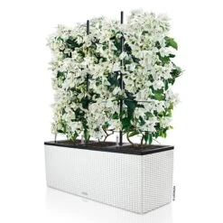 Lechuza Trio Cottage 30, Weiß, All-in-One-Set -Gartenbedarf Verkäufe 2024 3325200007 Trio Cottage 30 weiss All in One Set 100x32x34cm RGB 2 7614