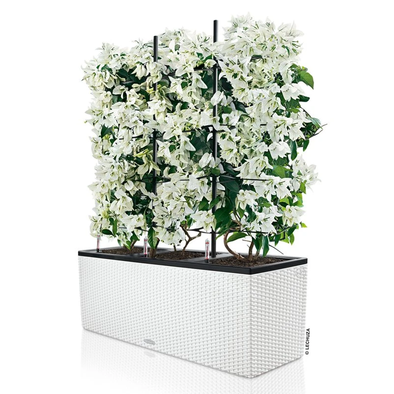 Lechuza Trio Cottage 30, Weiß, All-in-One-Set – Bild 3