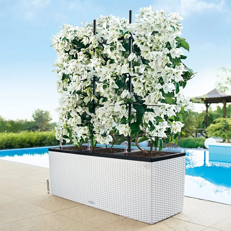 Lechuza Trio Cottage 30, Weiß, All-in-One-Set