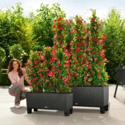 Lechuza Trio Cottage 30, Granit, All-in-One-Set 7 Lechuza Trio Cottage 30, Granit, All-in-One-Set -Gartenbedarf Verkäufe 2024 3325200021 Trio Cottage30 granit All in OneSet 100x32x34cm RGB 7626