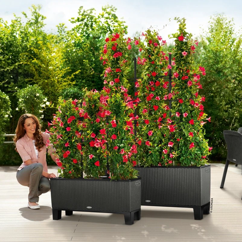 Lechuza Trio Cottage 30, Granit, All-in-One-Set 5 Lechuza Trio Cottage 30, Granit, All-in-One-Set – Bild 3