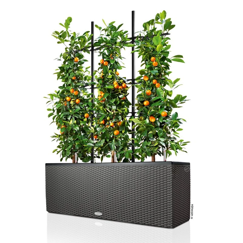 Lechuza Trio Cottage 30, Granit, All-in-One-Set 4 Lechuza Trio Cottage 30, Granit, All-in-One-Set – Bild 2