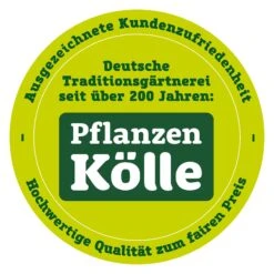 Edelstahl- Feuerstelle 'X 70', Schwarz, 40 X 75 Cm -Gartenbedarf Verkäufe 2024 qualitaetssiegel pflanzen koelle 3000x3000 70847 27